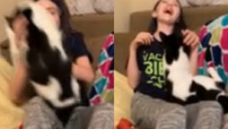 Watch viral: young girl is the cat’s favorite family member