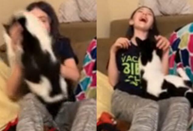 Watch viral: young girl is the cat’s favorite family member