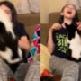 Watch viral: young girl is the cat’s favorite family member