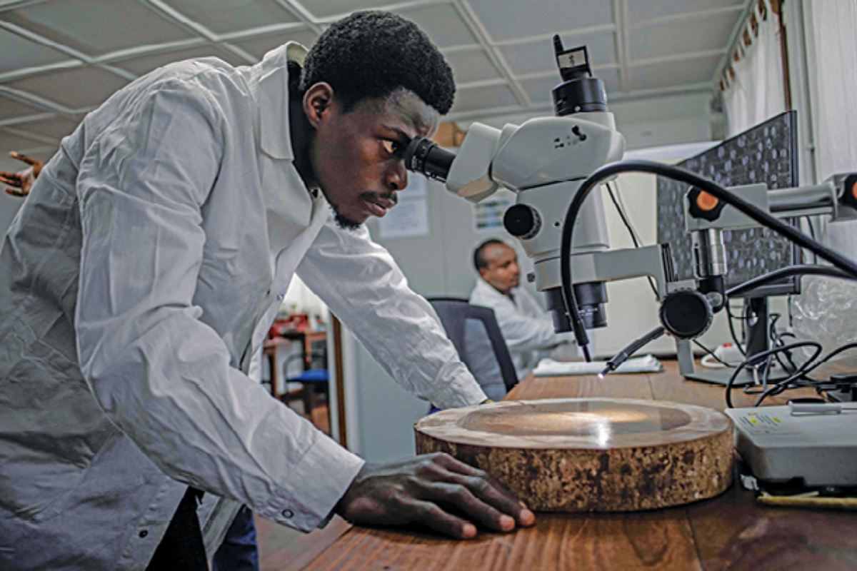 Congo struggles to protect rainforest