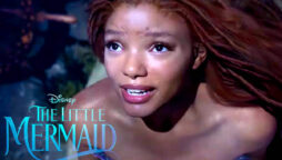 The Little Mermaid