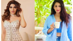 Jacqueline Fernandez and Nora Fatehi, Nikki Tamboli and Chahatt Khanna’s names appear in the extortion case