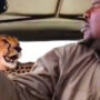 Safari guide shoots viral selfie with cheetah