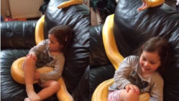 Girl watches TV with python