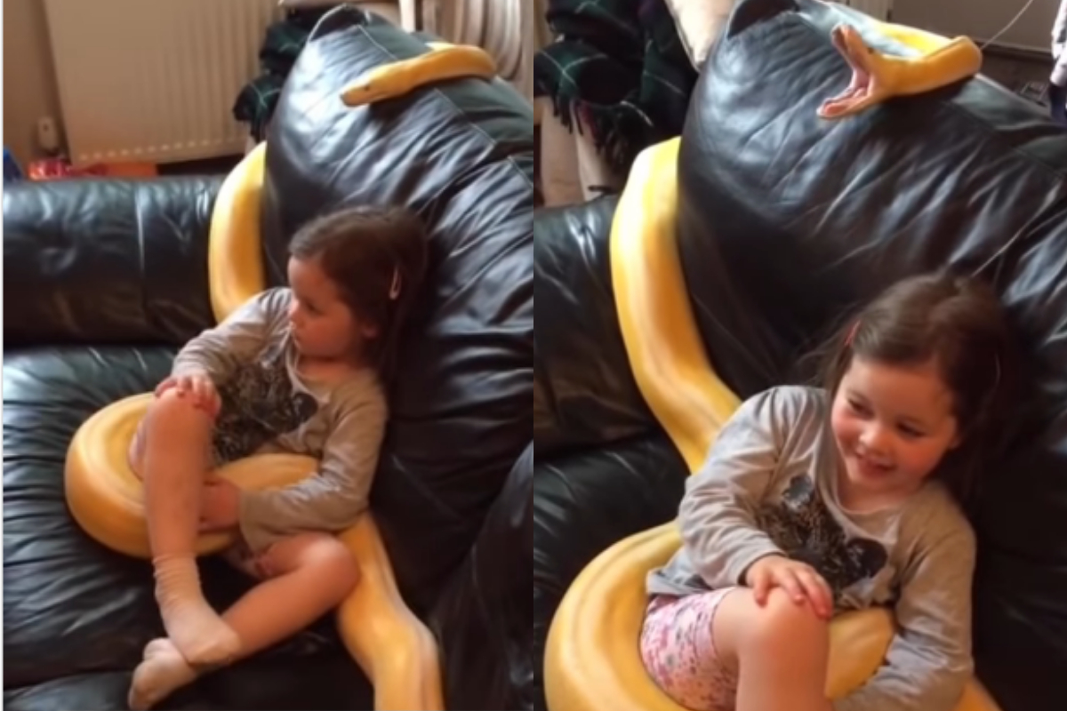 Girl watches TV with python