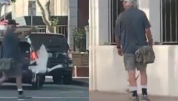 Viral: Man ‘walks’ a goose pet on a leash
