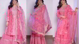 Shraddha Arya shares stunning photos of herself in pink outfit