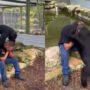 Chimpanzee gives crying man hugs and kisses