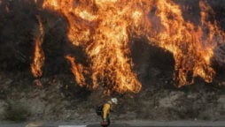 California wildfire