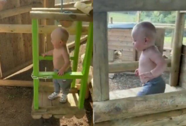 Watch: Man creates playhouse with elevator for his son