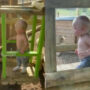 Watch: Man creates playhouse with elevator for his son