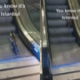 Viral video of cute cat on escalator