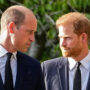 Prince Harry and Prince William may not travel together again amid constitutional reason
