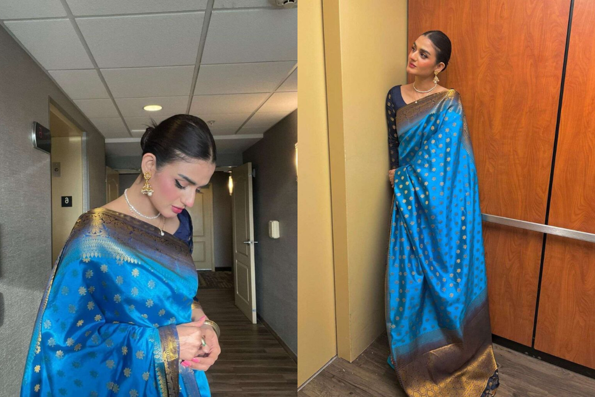 Hira Mani
