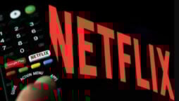 Netflix taken down