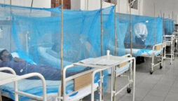 More dengue fever cases detected in Karachi