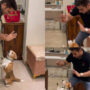 Watch: Beagle dog performs Bhangra dance alongside its owner