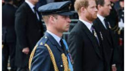 Prince Harry and Prince William left aides shock with first question