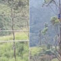 Viral: Man holds breath for an hour to escape wild elephants