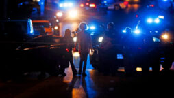 senseless murder rampage