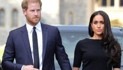 Prince Harry and Meghan Markle called “reality TV stars”
