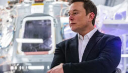 Elon Musk confronts US professor over emerald mine claim