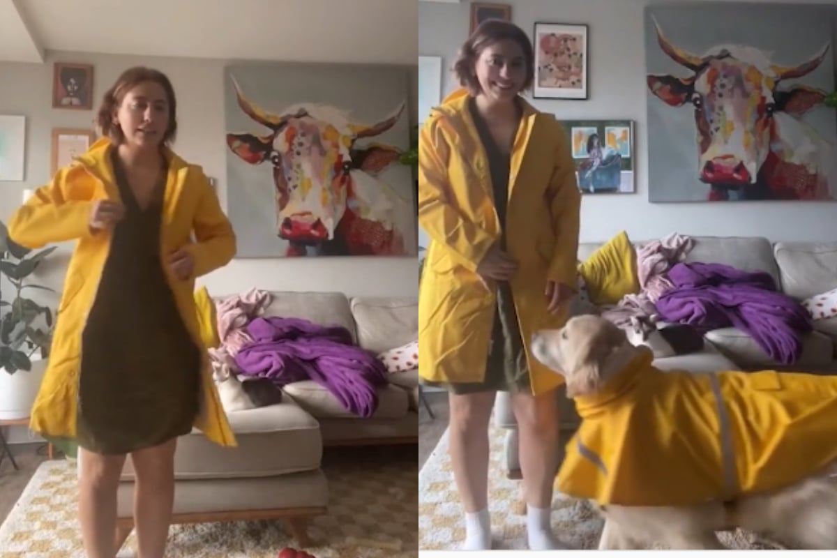 pet dog