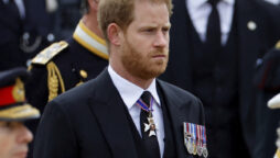 Prince Harry