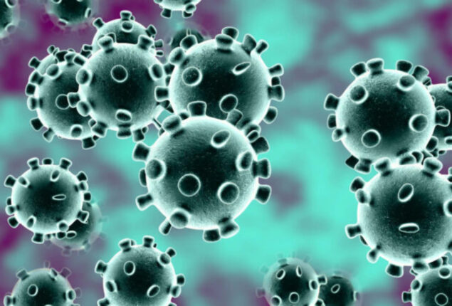 Balochistan COVID update: No cases of virus found in province