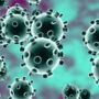 Balochistan COVID update: No cases of virus found in province
