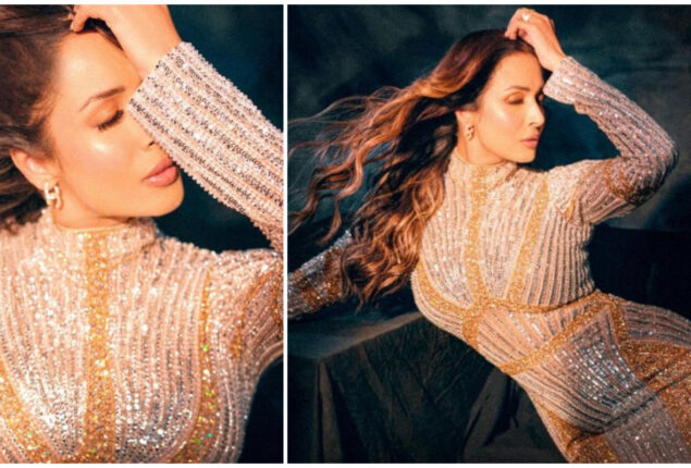 Malaika Arora heats up the internet in shimmery sequin gown 