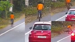 Leopard attack on bicyclist