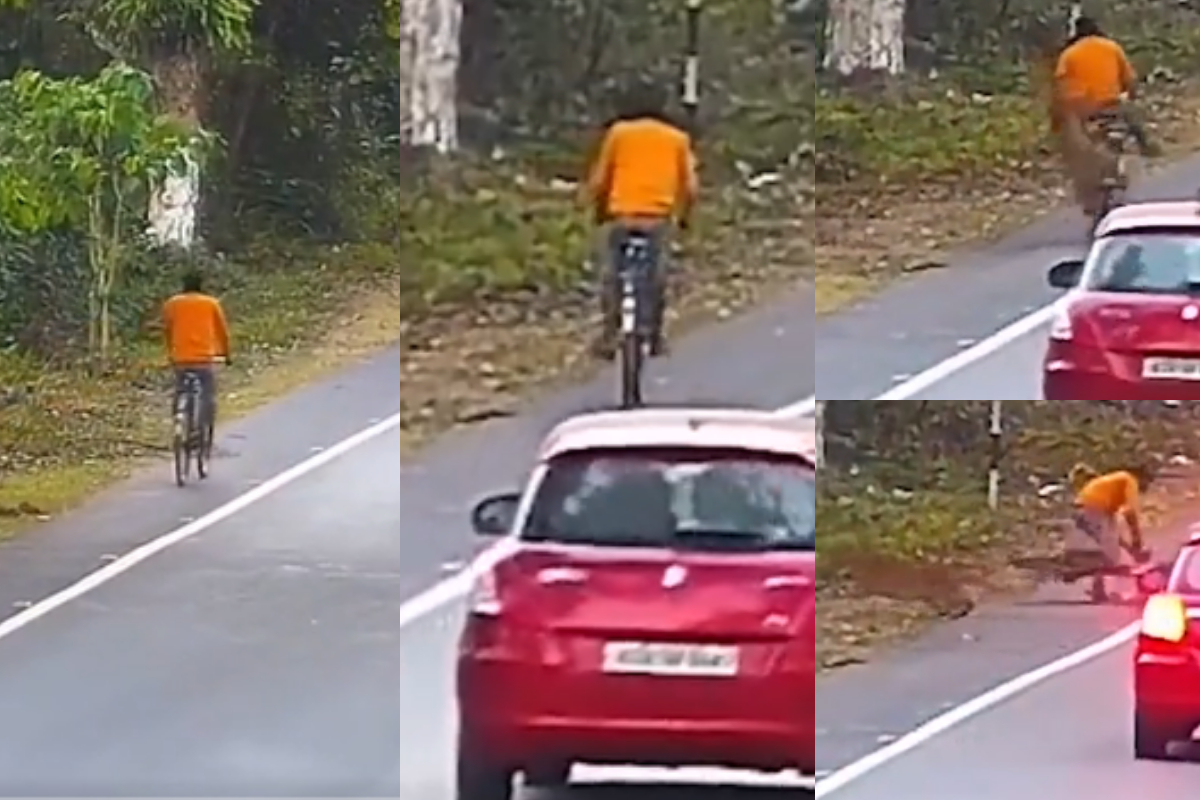 Leopard attack on bicyclist