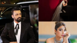 Pakistani celebrities shares the big award show’s red carpet