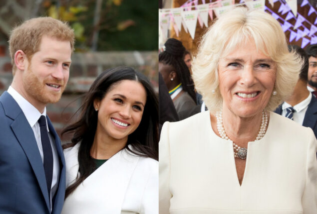 Camilla ‘spat tea’ over Prince Harry’s ‘ridiculous’ Meghan Markle demand
