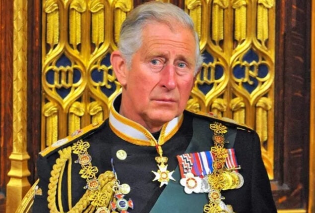 A young girl advised King Charles III to ‘do a backflip’