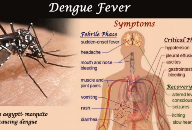 Dengue fever cases on rise in Karachi