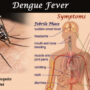 Dengue fever cases on rise in Karachi