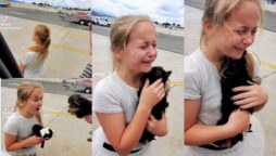 Watch viral: This is wonderful way to give puppy to daughter