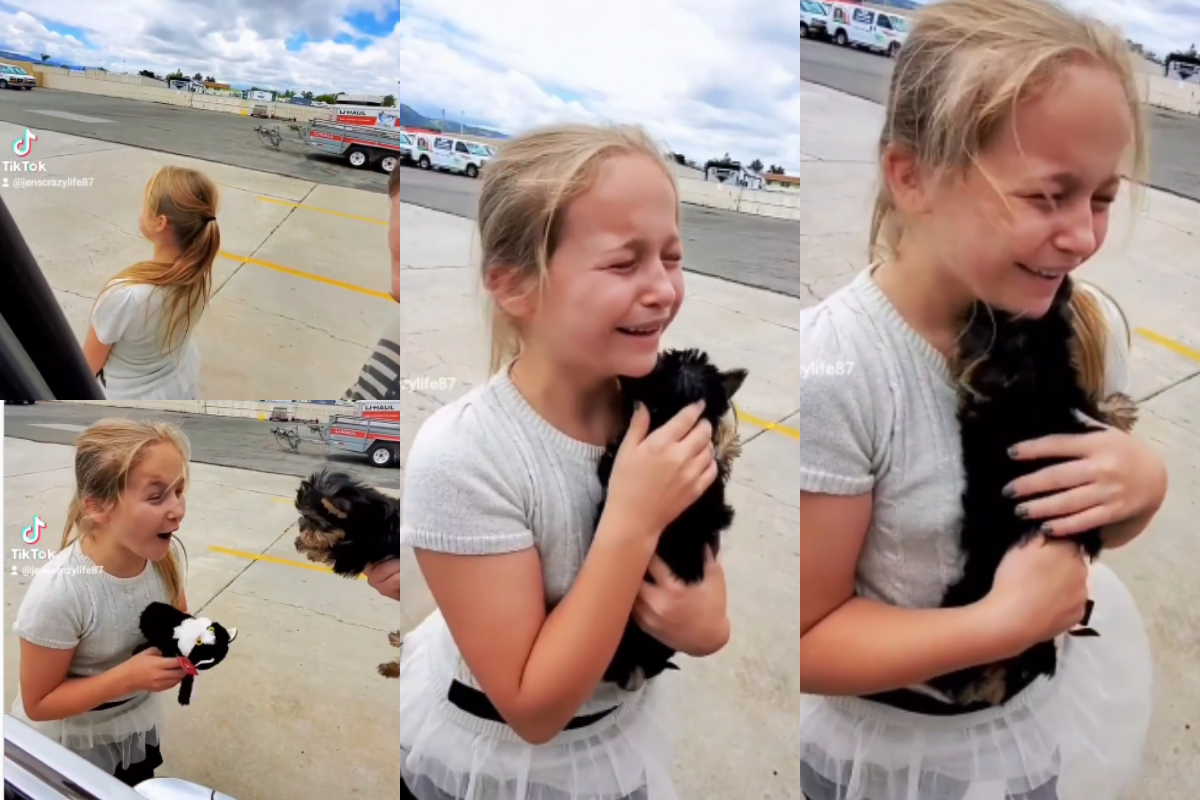 wonderful puppy