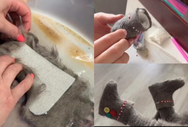 Watch viral: Woman fashions adorable boots for her cat out of its fur