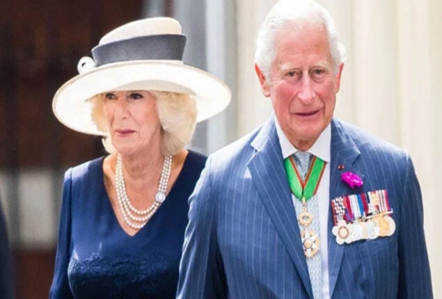 Camilla’s candid reaction to a fan about her role as Queen Consort