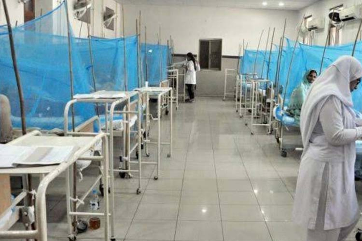 87 new dengue cases
