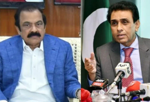 Rana Sanaullah to convey message of PM Shehbaz to MQM-P leadership