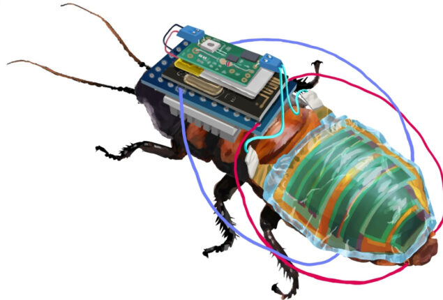 Cyborg cockroach could be the first responder to natural disasters
