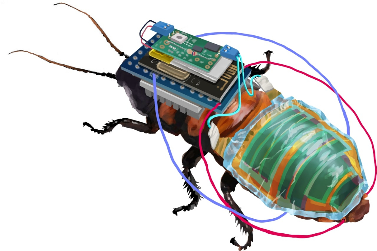 Cyborg cockroach could be the first responder