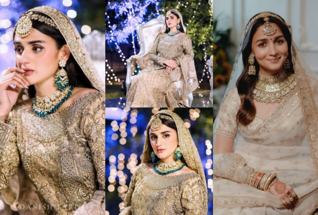Hira Mani is criticised publicly for mimicking Bollywood actress