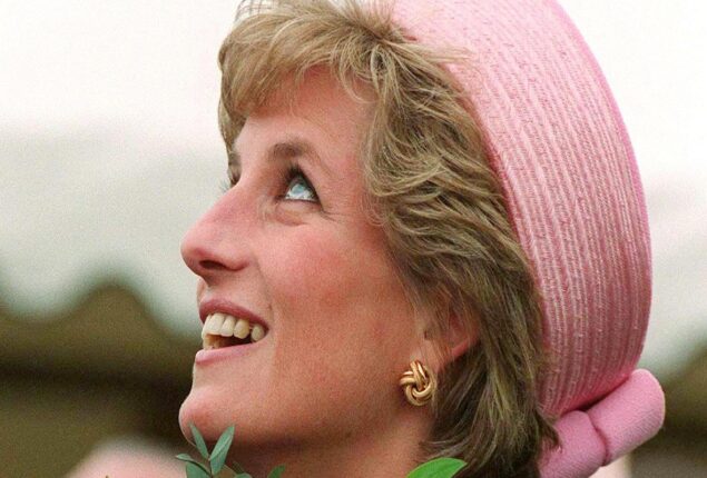 ﻿Princess Diana memories have been ‘edited’: Omid Scobie