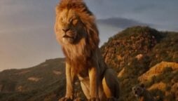 Mufasa