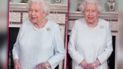 Big bruise on hand of Queen Elizabeth left fans worried